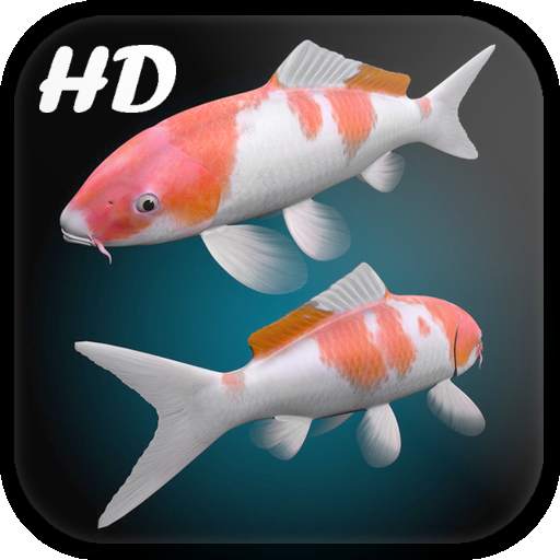 Koi Fish Live Wallpaper 3D