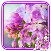 Lilac Spring Flowers Live Wallpaper