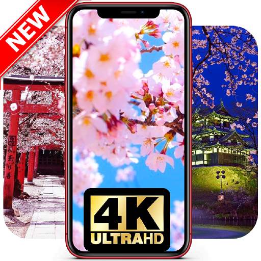 Sakura Wallpaper HD 🌳Backgrounds🌲 Cherry Blossom