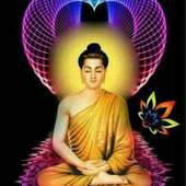 Budha HD wallpaper