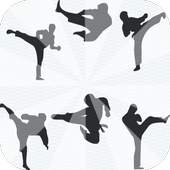 Taekwondo Training step