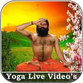 All Yoga Videos:Pet Kam Kare on 9Apps