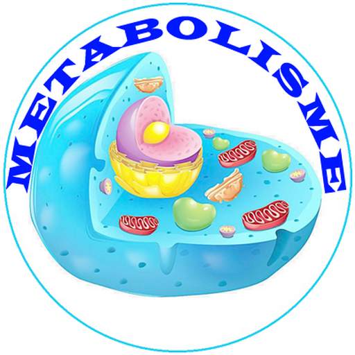 Metabolic System Diseases