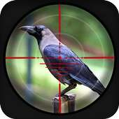 Bosque cuervo caza aventura 3d