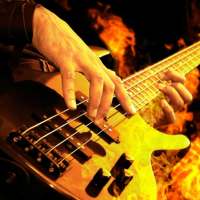 Bass Grooves on 9Apps