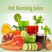 Fat Burning juices