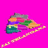 Telangana  Celebrations on 9Apps