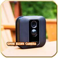 Guide Blink Camera