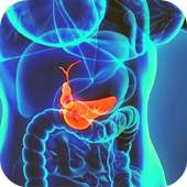 abdominal ultrasound of gallbladder