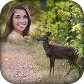 Wildlife Photo Frame on 9Apps