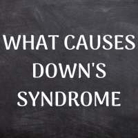 WHAT CAUSES DOWN SYNDROME