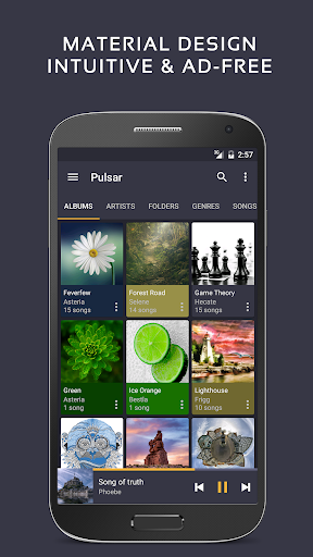Pulsar Müzik Oynatıcısı - Pulsar Music Player screenshot 1