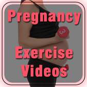Pregnancy Exercise Videos on 9Apps