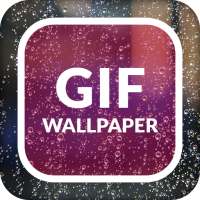 애니메이션 GIF 라이브 벽지