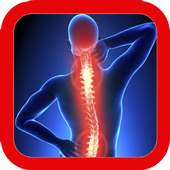 Back Pain Exercise on 9Apps