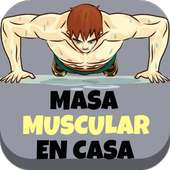 Masa Muscular En Casa