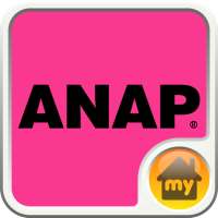 ANAP-ANAP INTERFACE Theme