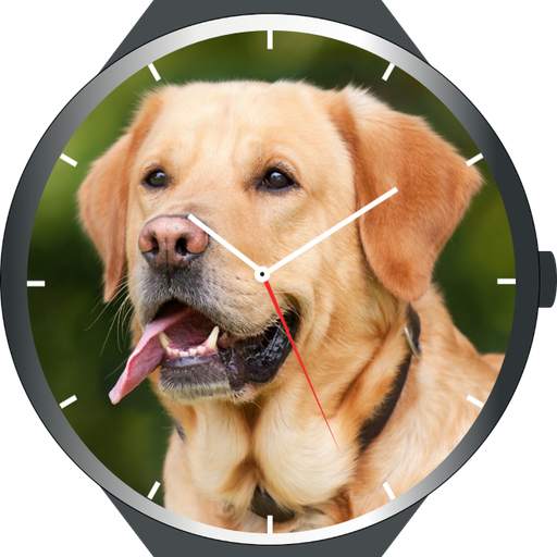 Dogs Watch Faces