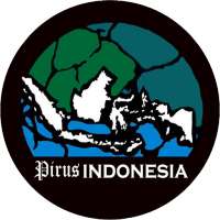 Pirus Indonesia