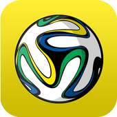 2015 World Cup Football FIFA