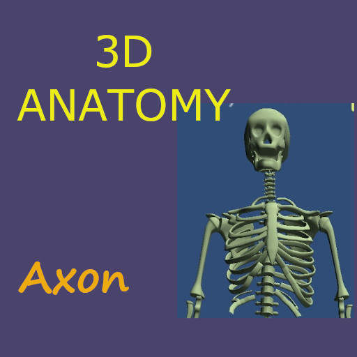 Anatomy 3D/Human Body