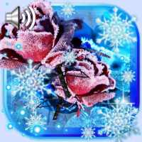 Winter Roses Live Wallpaper