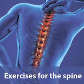 exercises for the spine