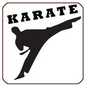 Karate Fight Training Lessons on 9Apps