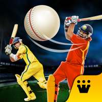 World T20 Cricket Champs 2020 on 9Apps