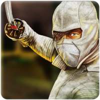 Super Hero-The Ninja Warrior.