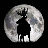 Deer Hunters Moon Guide on 9Apps