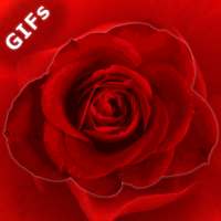 Rose Gifs