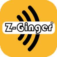 ZGinger Mini