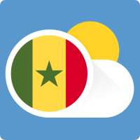 Погода В Сенегале
