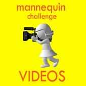Mannequin challenge video