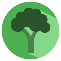 Broccoli: The Green Recipe App