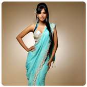 Indian Hot Saree Fashion