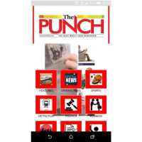 The punchnewspaper