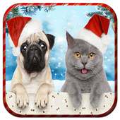 Christmas Photo Frame 2020 on 9Apps