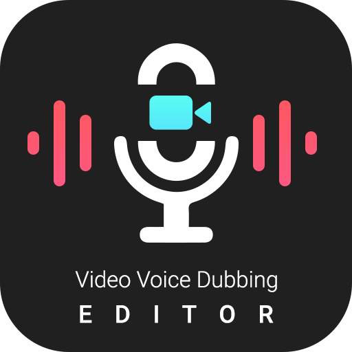 Video Voice Dubbing Editor