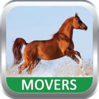 Movers on 9Apps