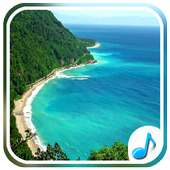 Tropical Sounds-Nature Sound on 9Apps