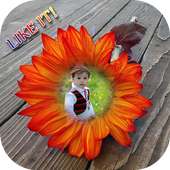 Sunflower Photo Frame on 9Apps