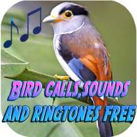 Bird call sounds and ringtones free