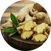 Top Health Benefits of Ginger