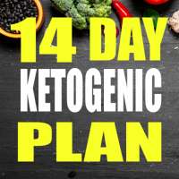 Keto Diet Plan For Weight Loss in 14 Days