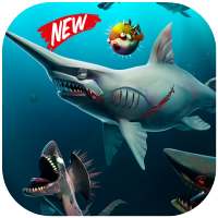guide for hungry shark summer update