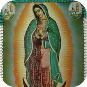 La Santa Virgen de Guadalupe