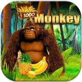 Jungle Monkey 2 Pro