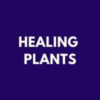 Herbal Plants on 9Apps